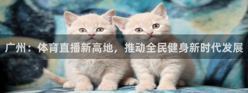 袋鼠直播nba在线观看：广州：体育直播新高地，推动全民健身新时代发展