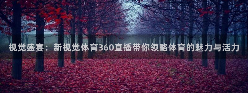 袋鼠体育免费直播观看：视觉盛宴：新视觉体育360直播带你领略体育的魅力与活力