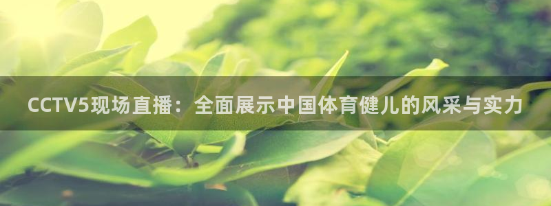 袋鼠直播体育app：CCTV5现场直播：全面展示中国体育健儿的风采与实力