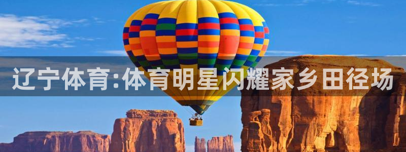 袋鼠直播nba在线观看：辽宁体育:体育明星闪耀家乡田径场