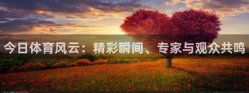 袋鼠直播体育免费直播：今日体育风云：精彩瞬间、专家与观众共鸣