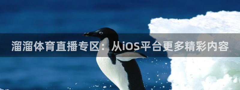 袋鼠体育免费观看：溜溜体育直播专区：从iOS平台更多精彩内容
