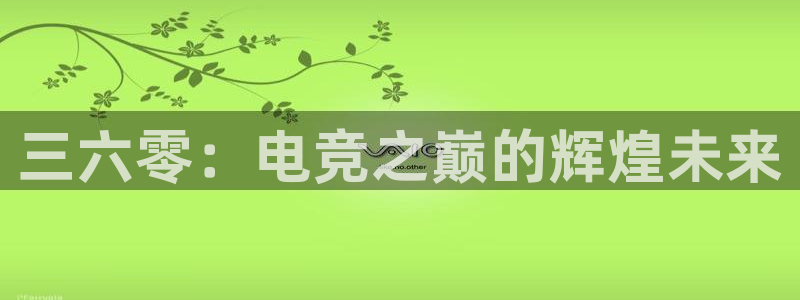 袋鼠足球直播：三六零：电竞之巅的辉煌未来