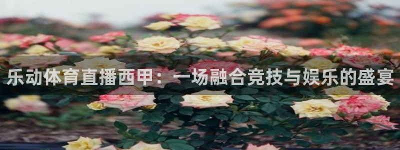 袋鼠体育直播：乐动体育直播西甲：一场融合竞技与娱乐的盛宴