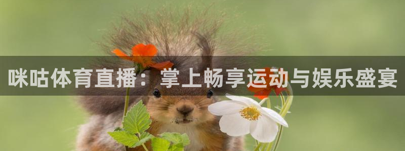 袋鼠直播体育在线：咪咕体育直播：掌上畅享运动与娱乐盛宴