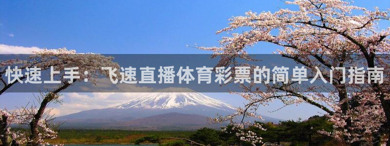 袋鼠体育直播在线观看：快速上手：飞速直播体育彩票的简单入门指南