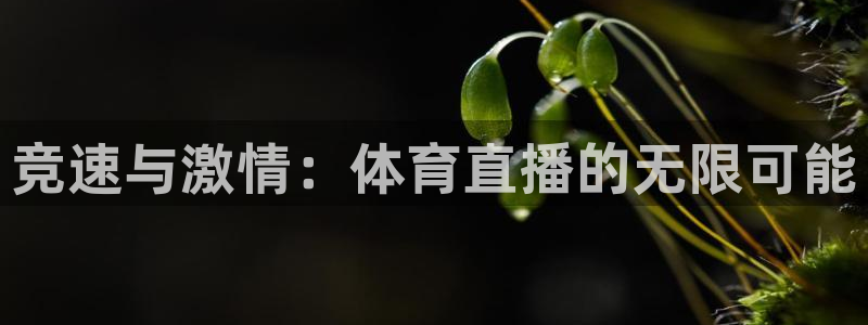 袋鼠nba直播在线观看：竞速与激情：体育直播的无限可能