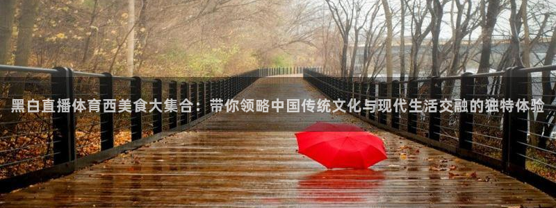 袋鼠直播nba：黑白直播体育西美食大集合：带你领略中国传统文化与现代生活交融的独特体验