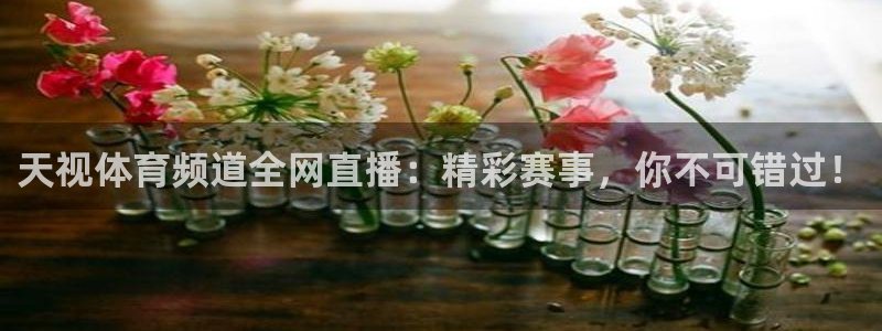 袋鼠在线直播体育：天视体育频道全网直播：精彩赛事，你不可错过！